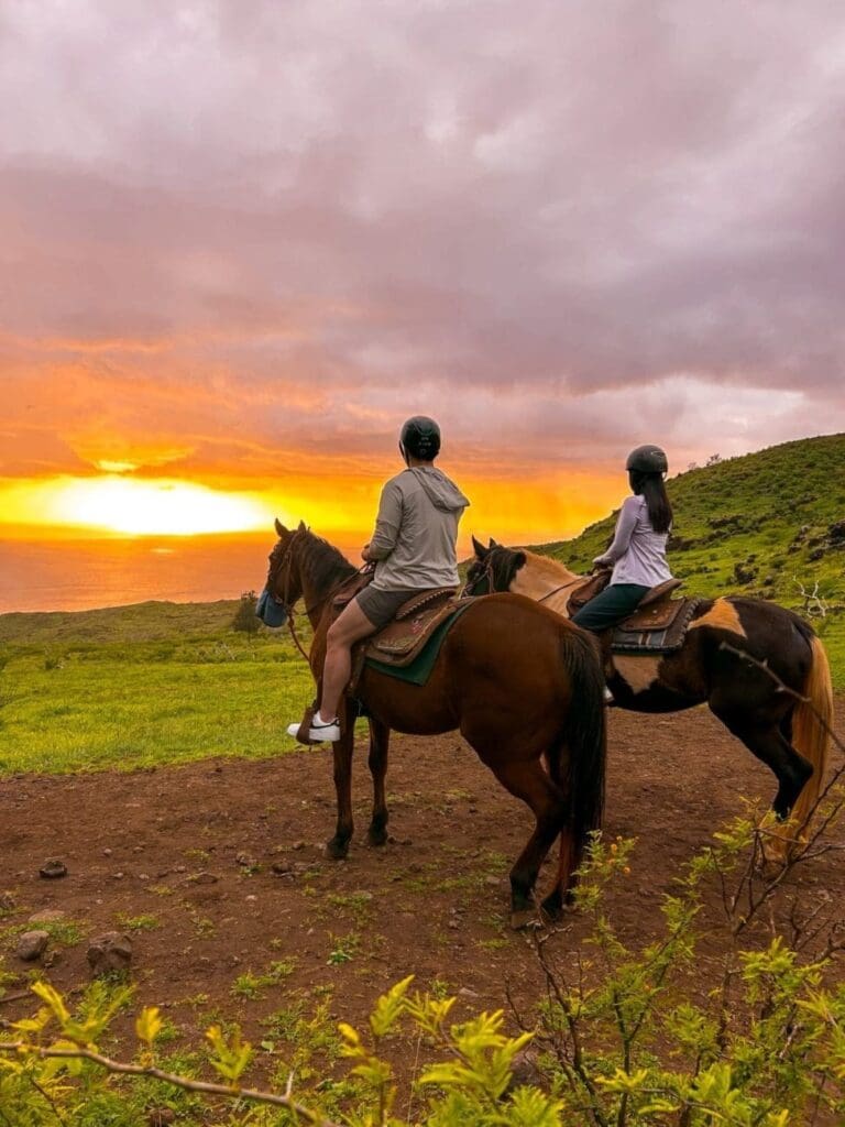 IMG_8648-Emily-Weigel-scaled This image is by Oahu Horseback Trail Rides.