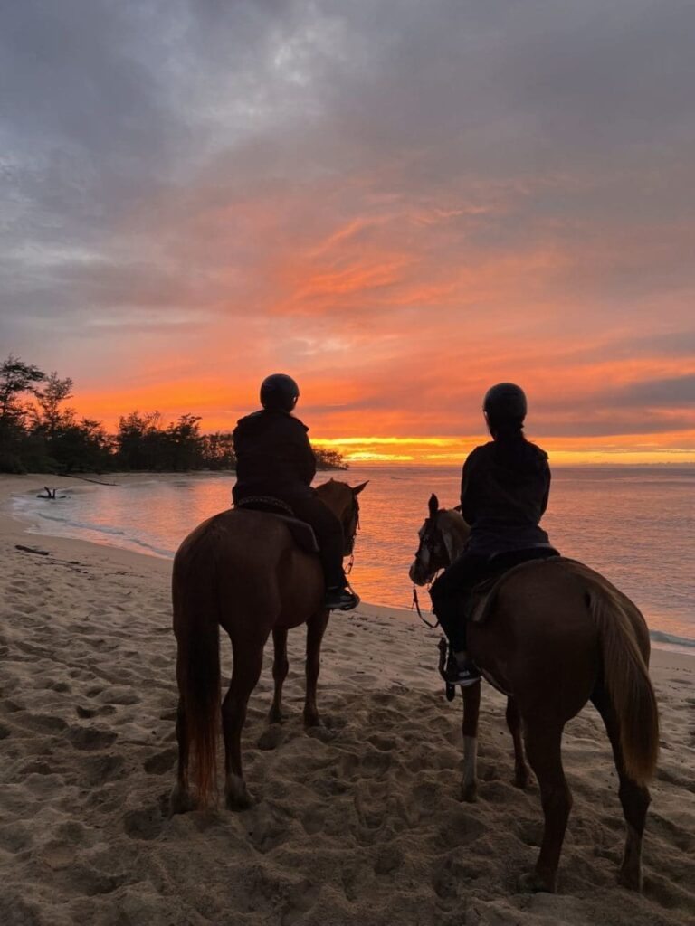 img_8138-Emily-Weigel-scaled This image is by Oahu Horseback Trail Rides.